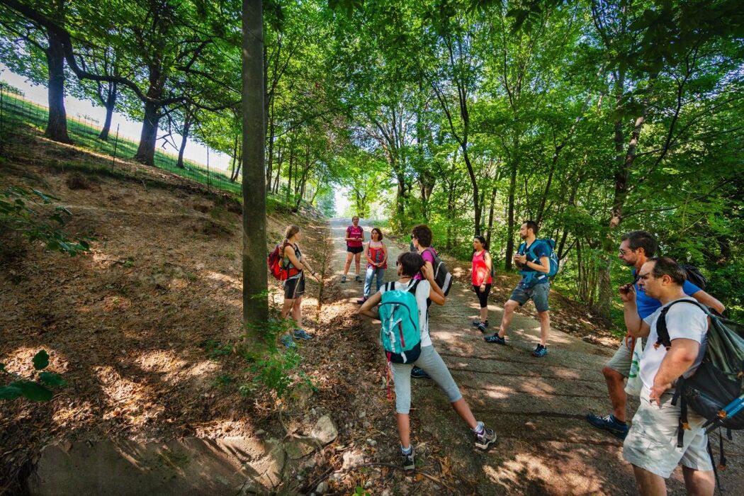 Camminata sul Lago d’Iseo: il Corno Buco e la sua vista mozzafiato Camminata sul Lago d’Iseo: il Corno Buco e la sua vista mozzafiato desktop picture