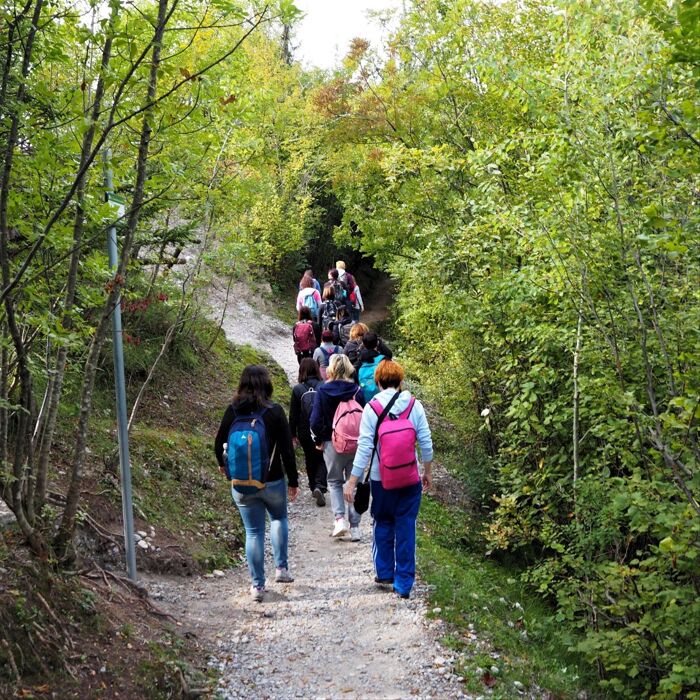Camminata tra le maestose Piramidi di Zone sul Lago d'Iseo Camminata tra le maestose Piramidi di Zone sul Lago d'Iseo desktop picture