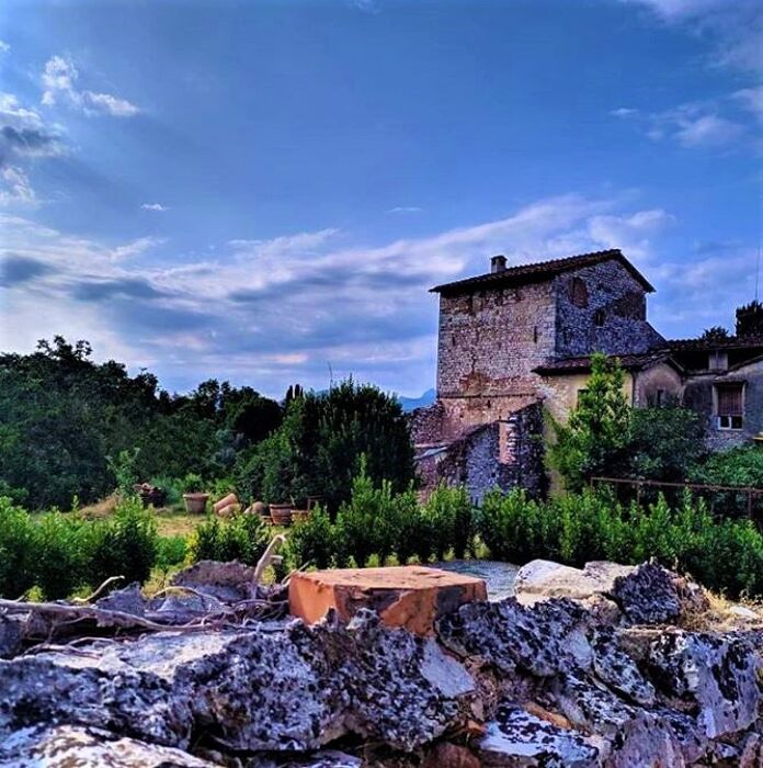 Tesori della Campagna Lucchese: Tra Profumi di Vendemmia e Ville Rinascimentali Tesori della Campagna Lucchese: Tra Profumi di Vendemmia e Ville Rinascimentali desktop picture