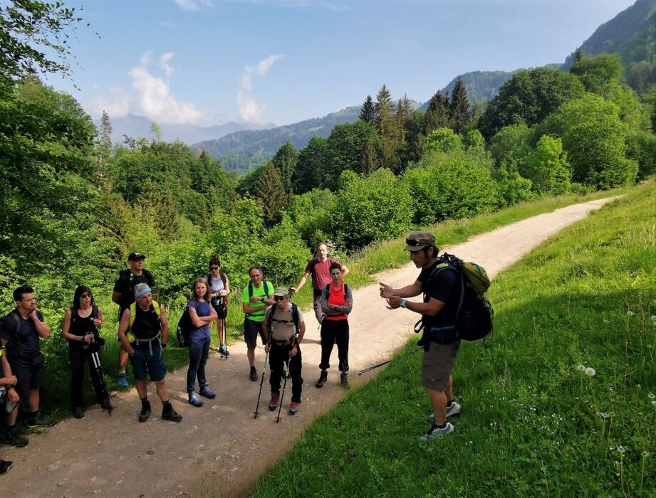 In vetta al Monte Ario: Trekking tra sconfinati orizzonti In vetta al Monte Ario: Trekking tra sconfinati orizzonti desktop picture