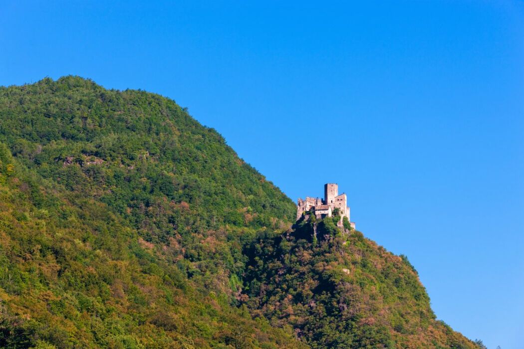 Castelli di Bolzano: Escursione nella Storia con Pranzo Tipico Castelli di Bolzano: Escursione nella Storia con Pranzo Tipico desktop picture