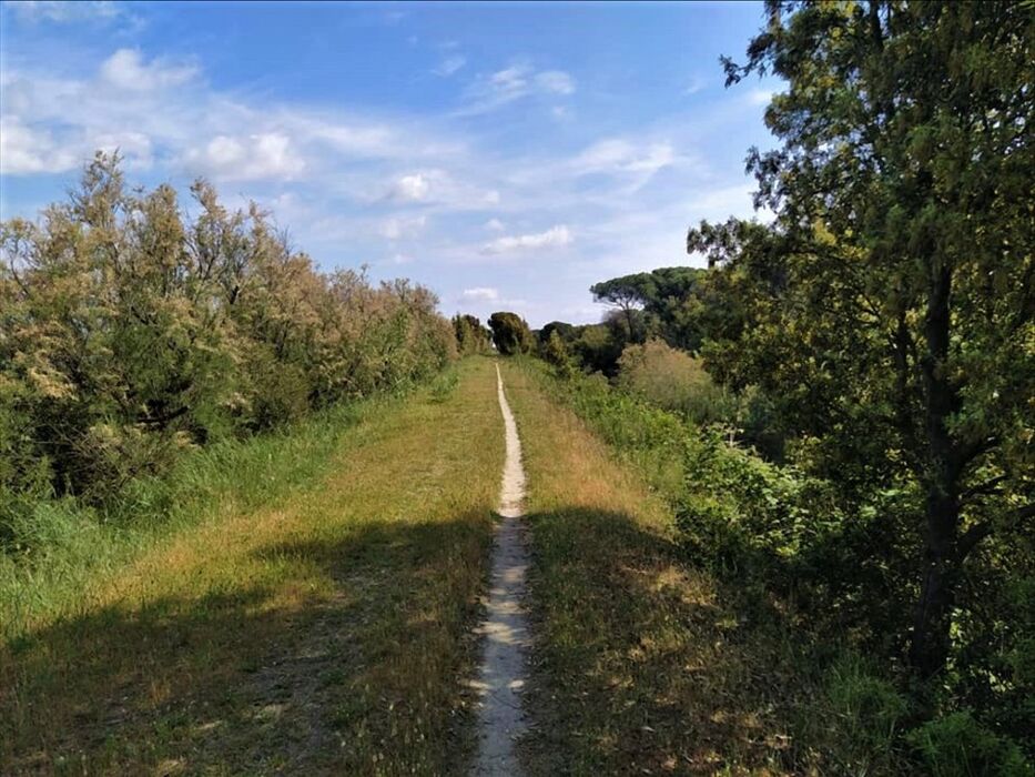 Passeggiata tra le Foci del Po di Volano e l’Abbazia di Pomposa Passeggiata tra le Foci del Po di Volano e l’Abbazia di Pomposa desktop picture