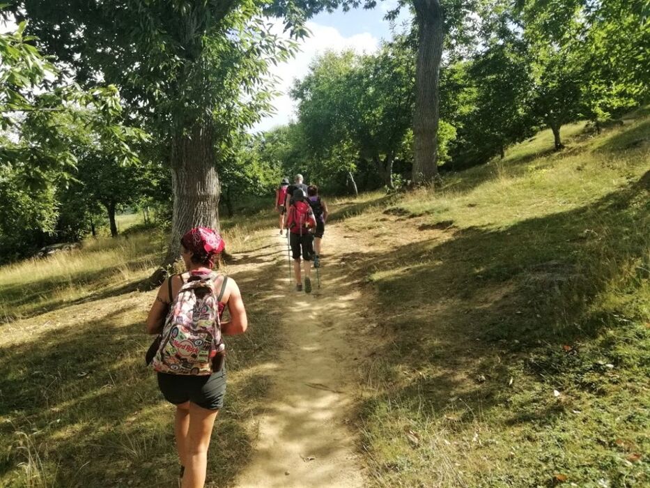 La Via degli Dei: Una Camminata nella Storia - MATTINA La Via degli Dei: Una Camminata nella Storia - MATTINA desktop picture