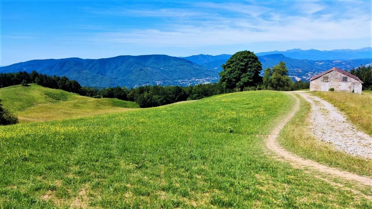 La Via degli Dei: Una Camminata nella Storia - MATTINA La Via degli Dei: Una Camminata nella Storia - MATTINA desktop picture