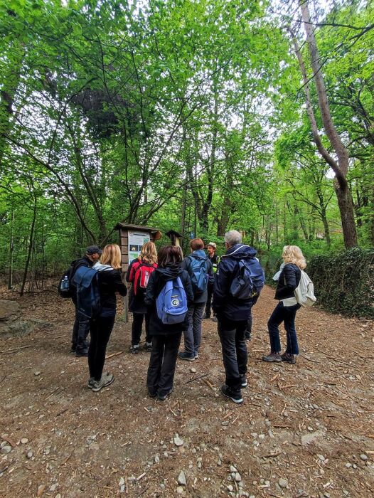 Passeggiata tra il Lago di Montorfano e le Colline Comasche Passeggiata tra il Lago di Montorfano e le Colline Comasche desktop picture