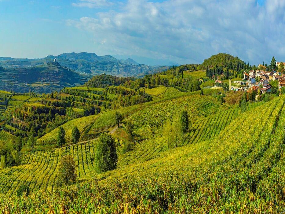 Soave: Il Borgo e il Castello Soave: Il Borgo e il Castello desktop picture