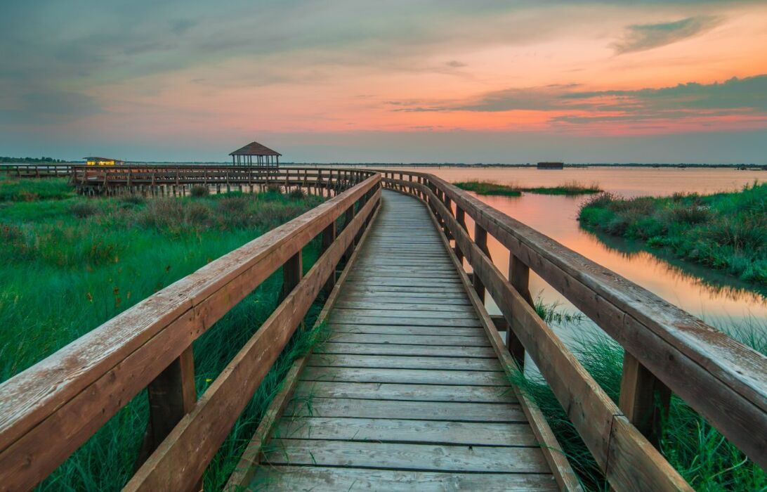 L'Incantesimo del Delta del Po: Il Giardino Litoraneo di Porto Caleri L'Incantesimo del Delta del Po: Il Giardino Litoraneo di Porto Caleri desktop picture