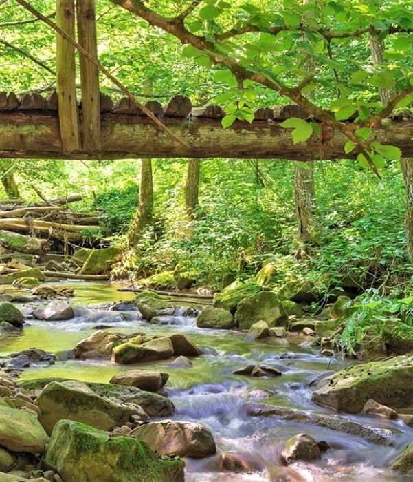 La Grotta di Labante, una Cavità Magica nella Collina Bolognese - POMERIGGIO La Grotta di Labante, una Cavità Magica nella Collina Bolognese - POMERIGGIO desktop picture