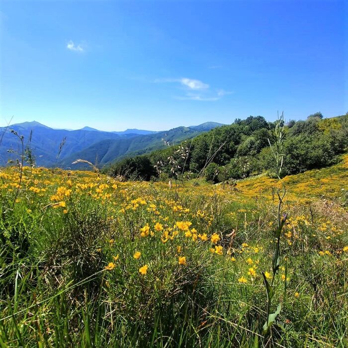 L’Antica Via del Sale: Trekking con Degustazione al Monte Bagnolo L’Antica Via del Sale: Trekking con Degustazione al Monte Bagnolo desktop picture