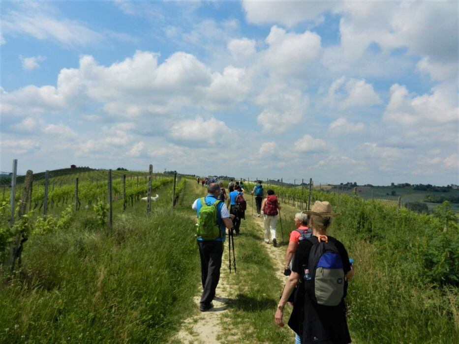 L'Anello del Ruchè: Passeggiata nelle Terre del Principe Rosso L'Anello del Ruchè: Passeggiata nelle Terre del Principe Rosso desktop picture