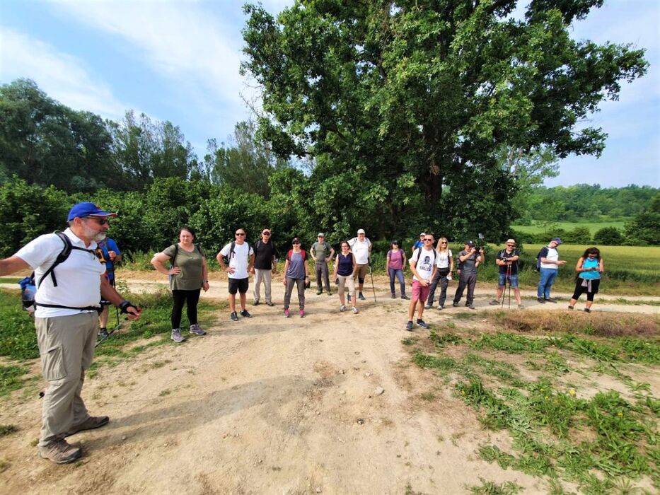 L'Anello del Ruchè: Passeggiata nelle Terre del Principe Rosso L'Anello del Ruchè: Passeggiata nelle Terre del Principe Rosso desktop picture