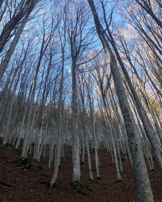 Alla Scoperta dell'Eremo di Camaldoli Alla Scoperta dell'Eremo di Camaldoli desktop picture