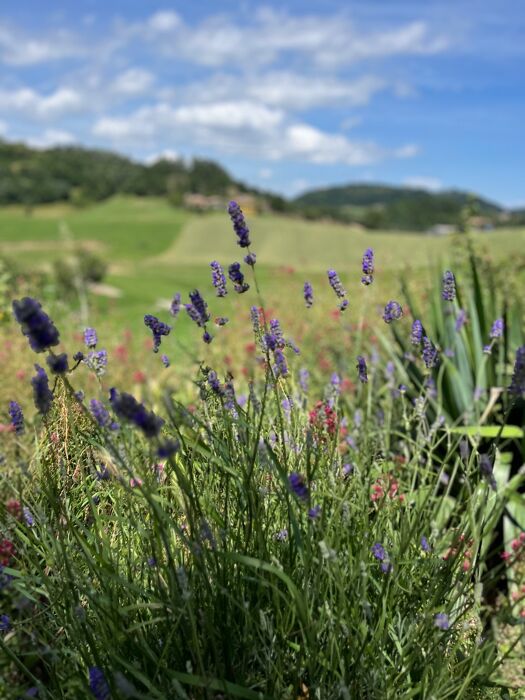 Dall'Orrido di Gea all'Urlo di Munch: escursione tra formazioni geologiche Dall'Orrido di Gea all'Urlo di Munch: escursione tra formazioni geologiche desktop picture