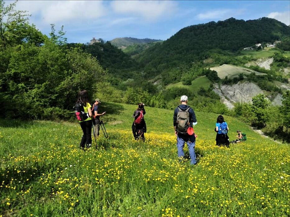 Escursione tra Boschi e Antiche Borgate Escursione tra Boschi e Antiche Borgate desktop picture