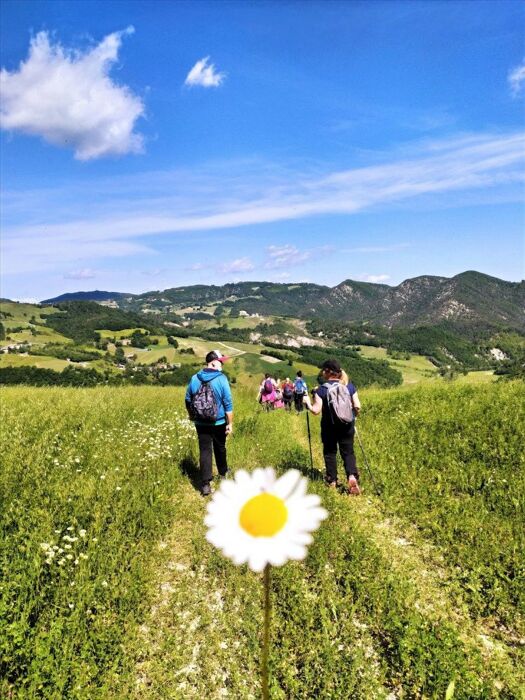 Camminata dal Castello di Rossena al Tempietto del Petrarca Camminata dal Castello di Rossena al Tempietto del Petrarca desktop picture