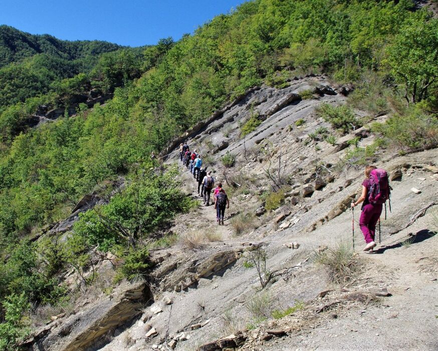 Trekking tra gli antichi Borghi nelle Foreste Casentinesi Trekking tra gli antichi Borghi nelle Foreste Casentinesi desktop picture