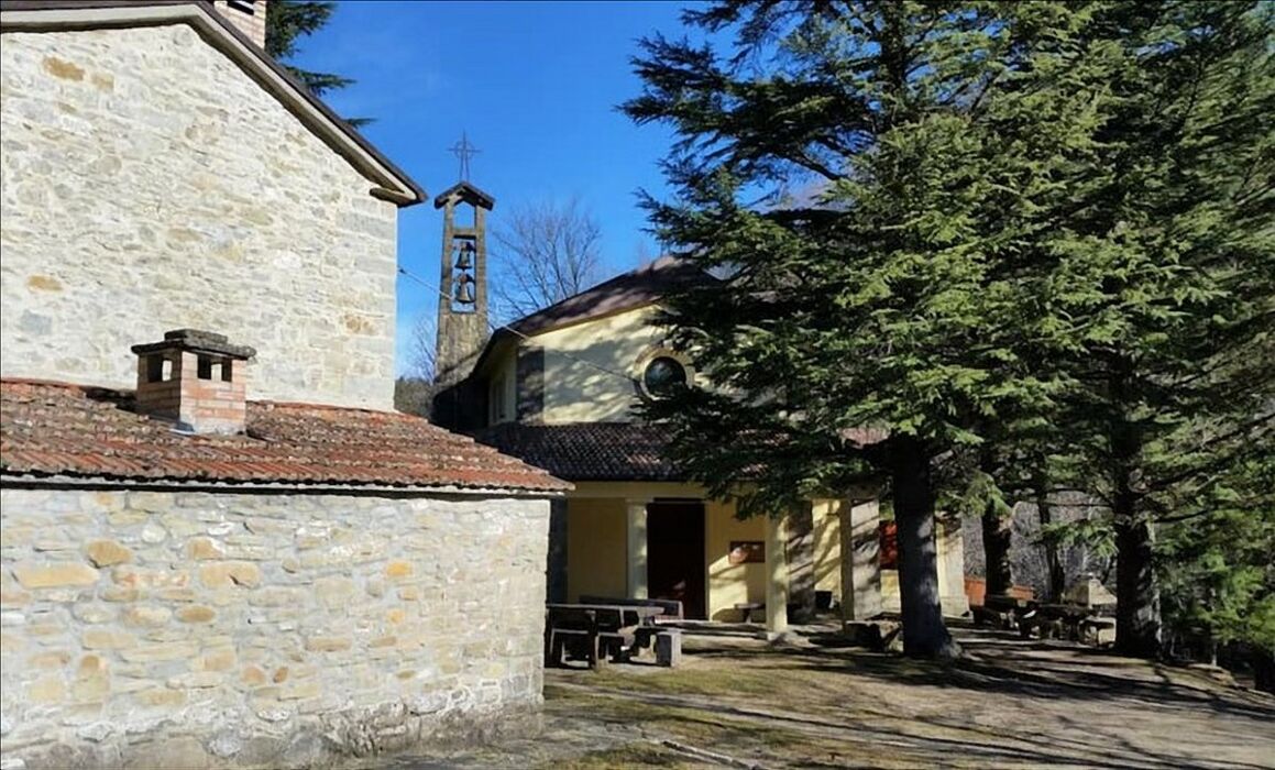 Trekking tra gli antichi Borghi nelle Foreste Casentinesi Trekking tra gli antichi Borghi nelle Foreste Casentinesi desktop picture