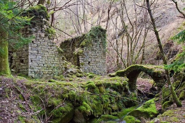 event-Trekking tra gli Antichi Borghi nelle Foreste Casentinesi