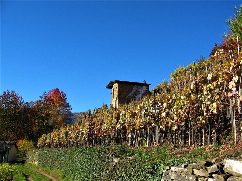 Escursione Panoramica alle Borgate del Montasso Escursione Panoramica alle Borgate del Montasso desktop picture