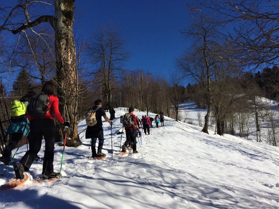 Ciaspolata lungo il Sentiero dei Grandi Alberi - Seconda Parte Ciaspolata lungo il Sentiero dei Grandi Alberi - Seconda Parte desktop picture