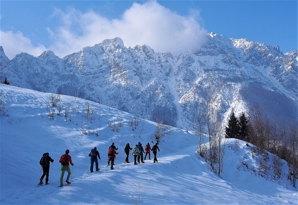 Ciaspolata lungo il Sentiero dei Grandi Alberi - Seconda Parte Ciaspolata lungo il Sentiero dei Grandi Alberi - Seconda Parte desktop picture