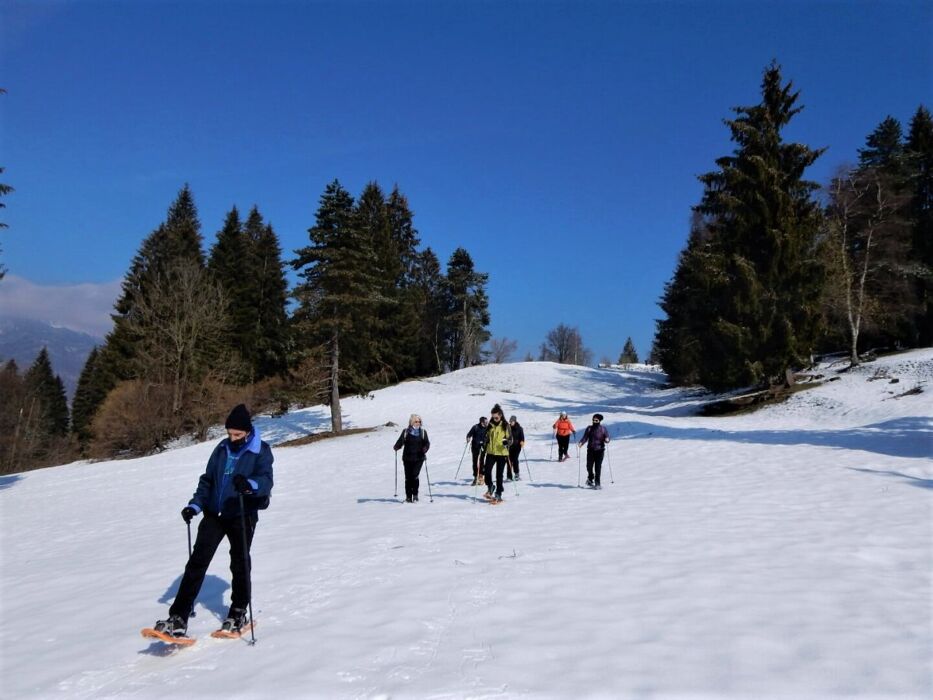 Ciaspolata lungo il Sentiero dei Grandi Alberi - Prima Parte Ciaspolata lungo il Sentiero dei Grandi Alberi - Prima Parte desktop picture