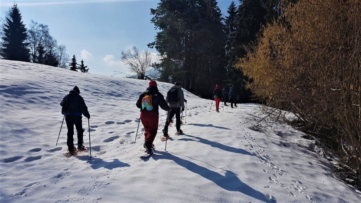 Ciaspolata lungo il Sentiero dei Grandi Alberi - Prima Parte Ciaspolata lungo il Sentiero dei Grandi Alberi - Prima Parte desktop picture