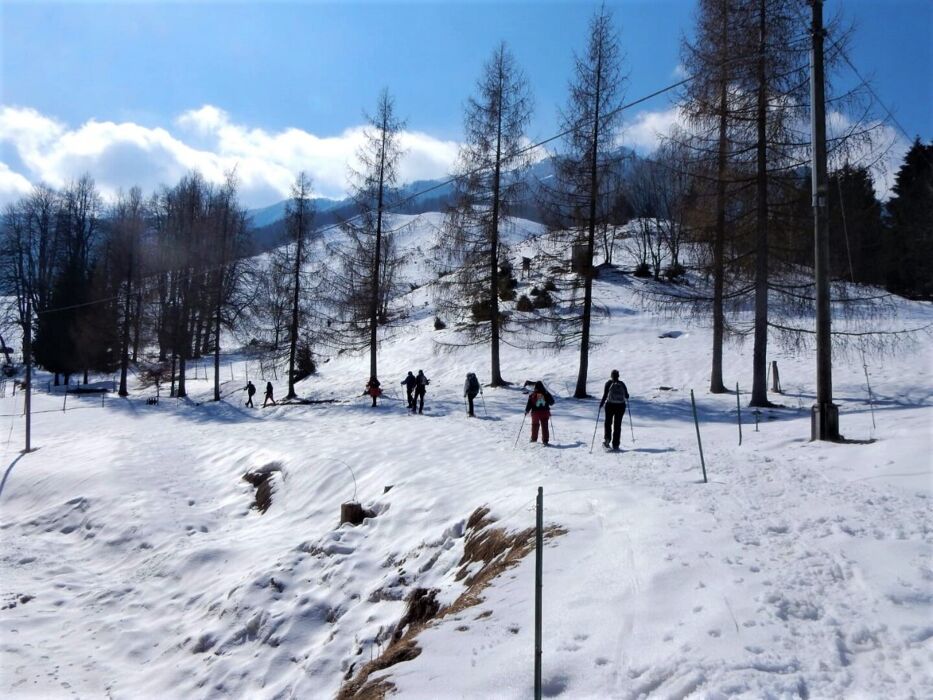 Ciaspolata lungo il Sentiero dei Grandi Alberi - Prima Parte Ciaspolata lungo il Sentiero dei Grandi Alberi - Prima Parte desktop picture