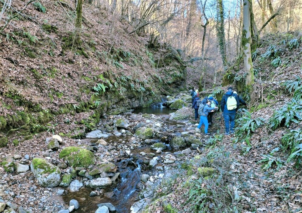 Passeggiata al Tretto: Tra Miniere, Torrenti e Contrade Passeggiata al Tretto: Tra Miniere, Torrenti e Contrade desktop picture