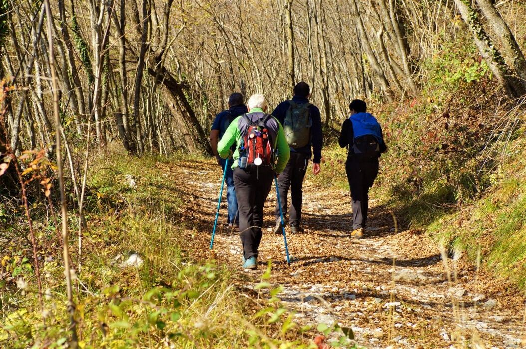 Escursione a Malga Realto nelle Prealpi Vicentine Escursione a Malga Realto nelle Prealpi Vicentine desktop picture