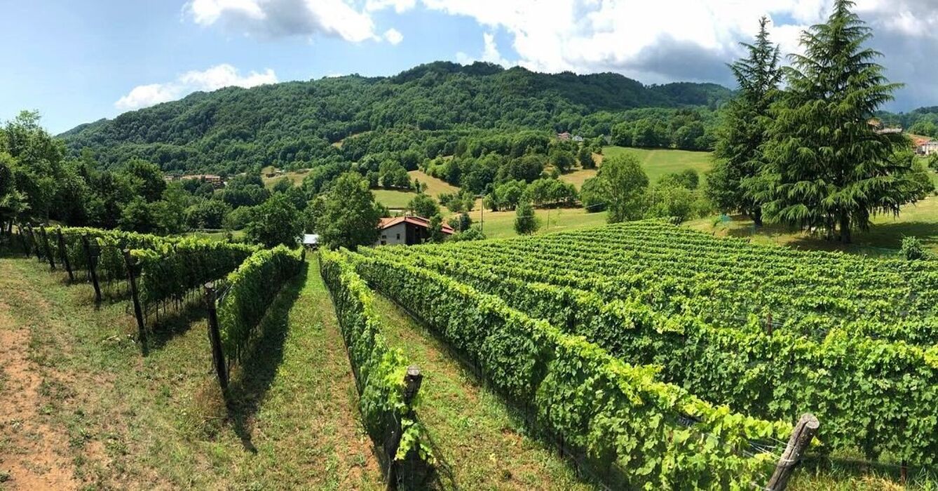 Cerealto Cimbro: Escursione sulle Colline Vicentine Cerealto Cimbro: Escursione sulle Colline Vicentine desktop picture