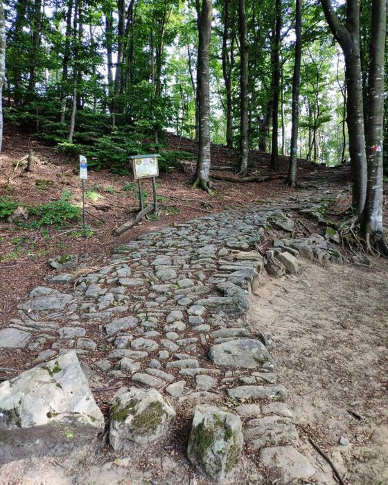 Nel Parco dei Gessi sulla Via Flaminia Minor Nel Parco dei Gessi sulla Via Flaminia Minor desktop picture