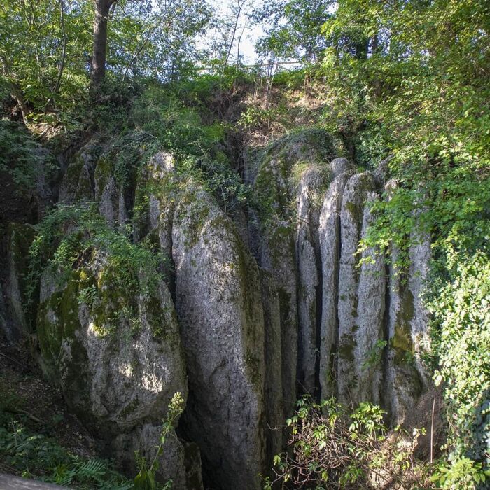 Nel Parco dei Gessi sulla Via Flaminia Minor Nel Parco dei Gessi sulla Via Flaminia Minor desktop picture