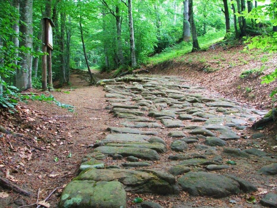 Nel Parco dei Gessi sulla Via Flaminia Minor Nel Parco dei Gessi sulla Via Flaminia Minor desktop picture