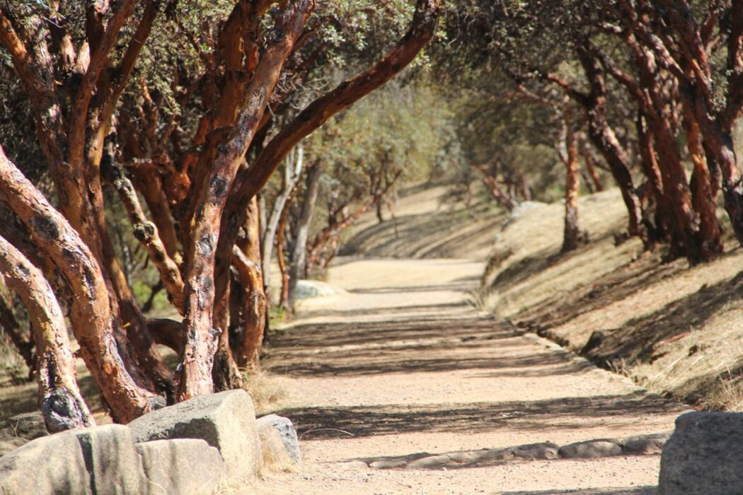 Trekking da Montereggi alla Via degli Dei Trekking da Montereggi alla Via degli Dei desktop picture