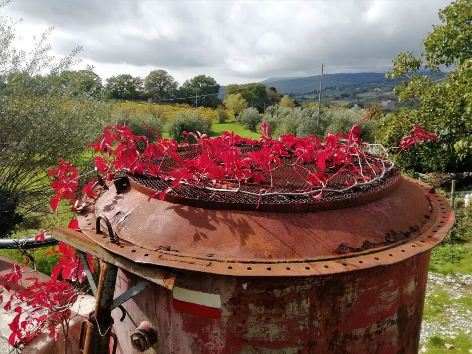 Trekking da Montereggi alla Via degli Dei Trekking da Montereggi alla Via degli Dei desktop picture