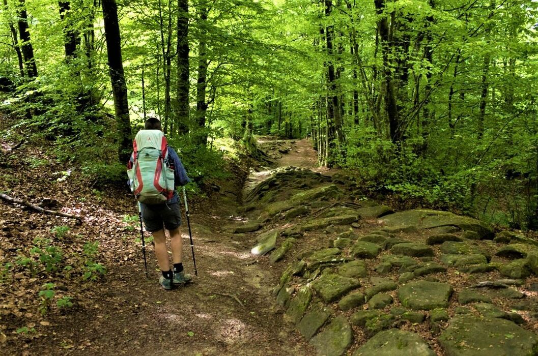 La Via degli Dei: da Bologna a Firenze La Via degli Dei: da Bologna a Firenze desktop picture