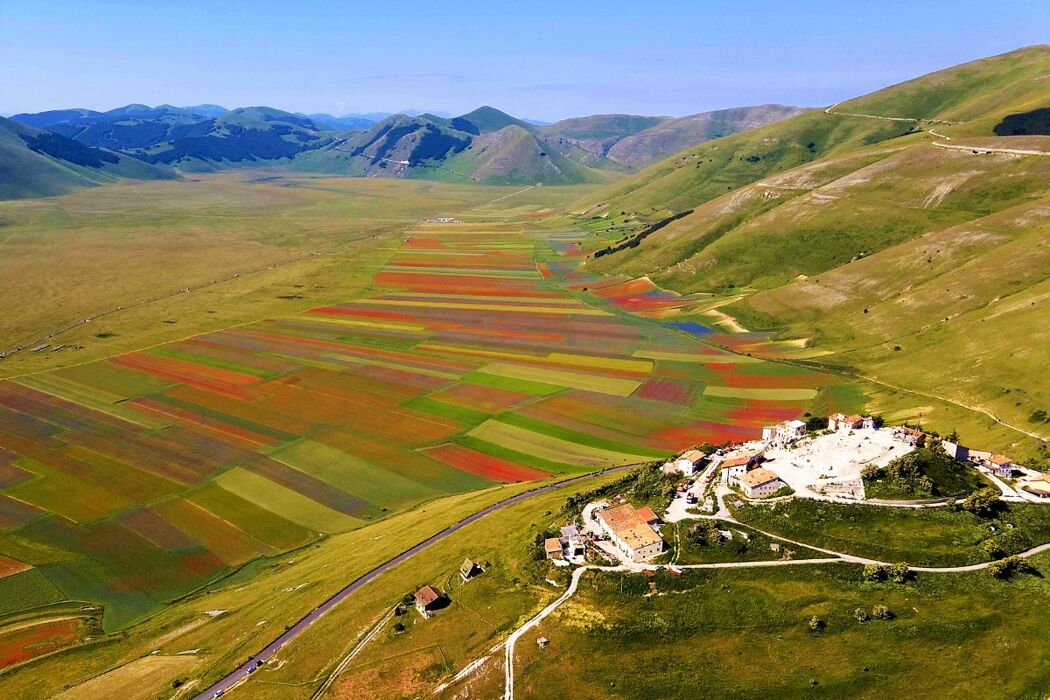 La Fioritura a Castelluccio di Norcia: viaggio in bus da Verona La Fioritura a Castelluccio di Norcia: viaggio in bus da Verona desktop picture