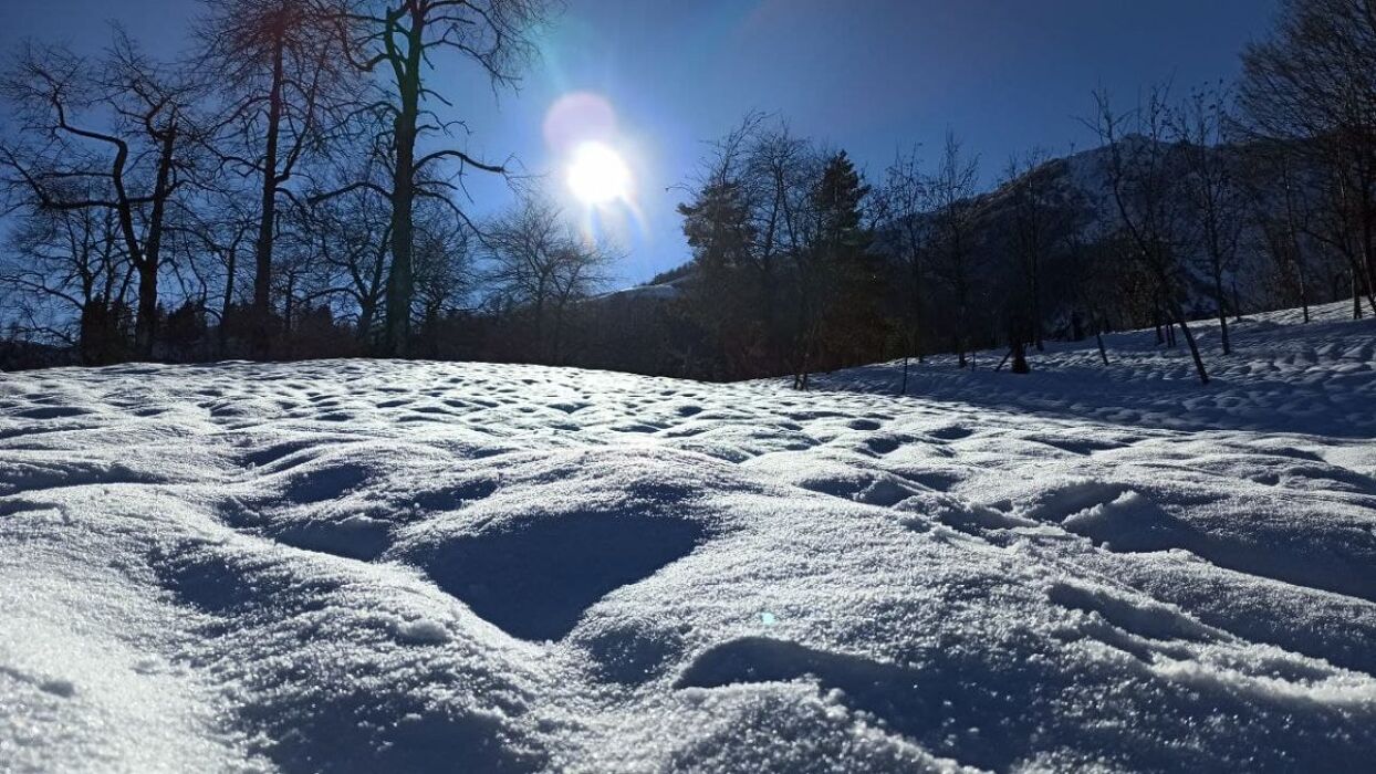 Ciaspolata lungo il Sentiero dei Grandi Alberi - Prima Parte - CIASPOLE NON INCLUSE (Principianti) Ciaspolata lungo il Sentiero dei Grandi Alberi - Prima Parte - CIASPOLE NON INCLUSE (Principianti) desktop picture