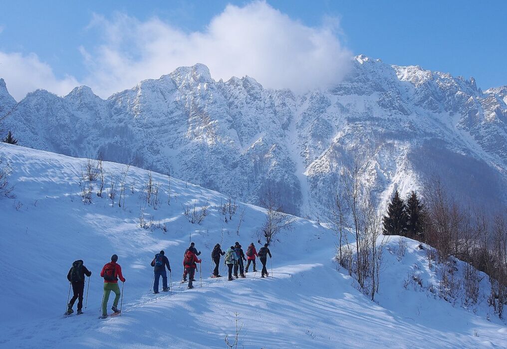 Ciaspolata lungo il Sentiero dei Grandi Alberi - Prima Parte - CIASPOLE NON INCLUSE (Principianti) Ciaspolata lungo il Sentiero dei Grandi Alberi - Prima Parte - CIASPOLE NON INCLUSE (Principianti) desktop picture