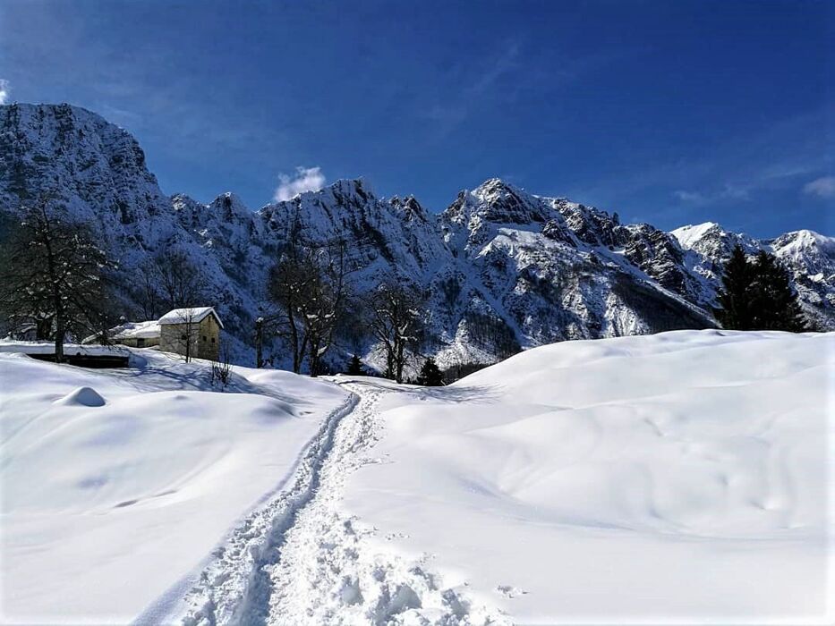 Ciaspolata lungo il Sentiero dei Grandi Alberi - Seconda Parte (Ciaspole Non Incluse) Ciaspolata lungo il Sentiero dei Grandi Alberi - Seconda Parte (Ciaspole Non Incluse) desktop picture