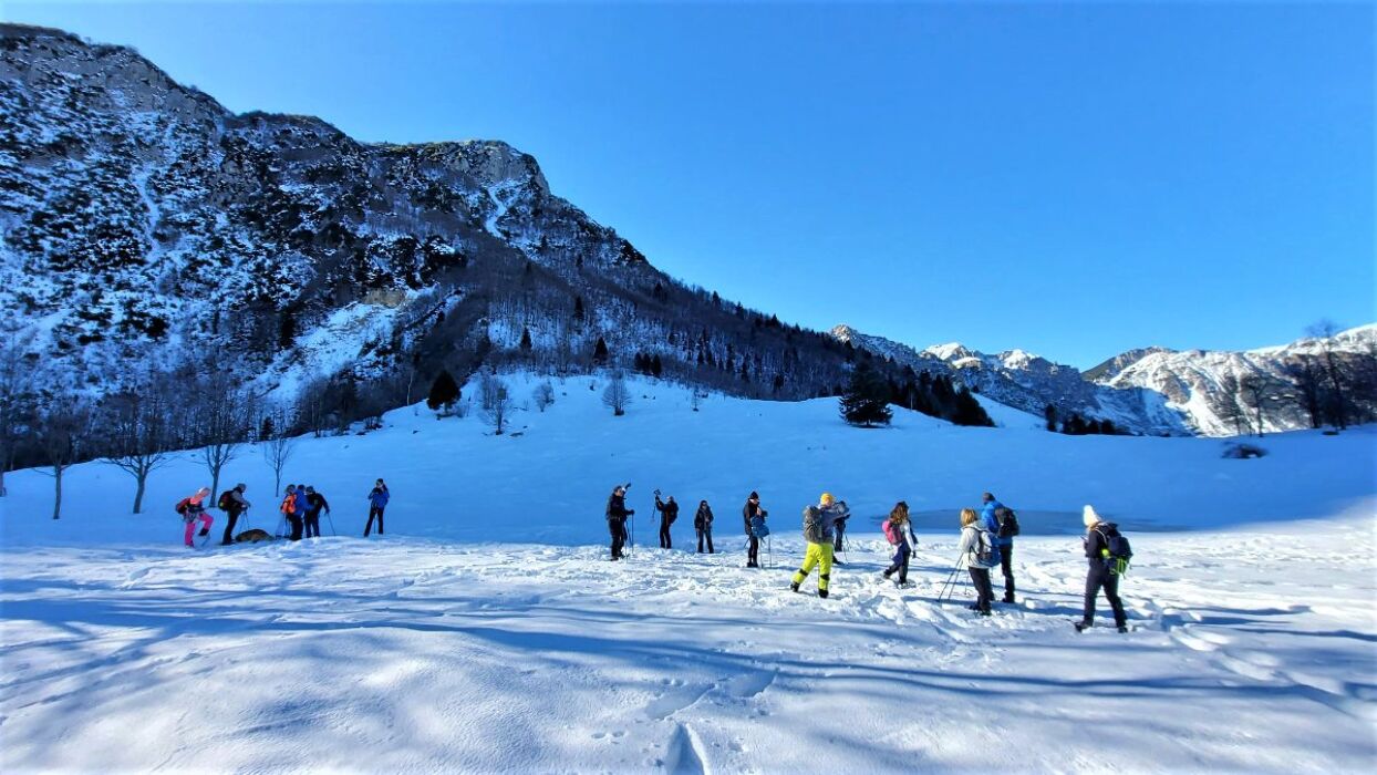 Ciaspolata lungo il Sentiero dei Grandi Alberi - Seconda Parte (Ciaspole Non Incluse) Ciaspolata lungo il Sentiero dei Grandi Alberi - Seconda Parte (Ciaspole Non Incluse) desktop picture