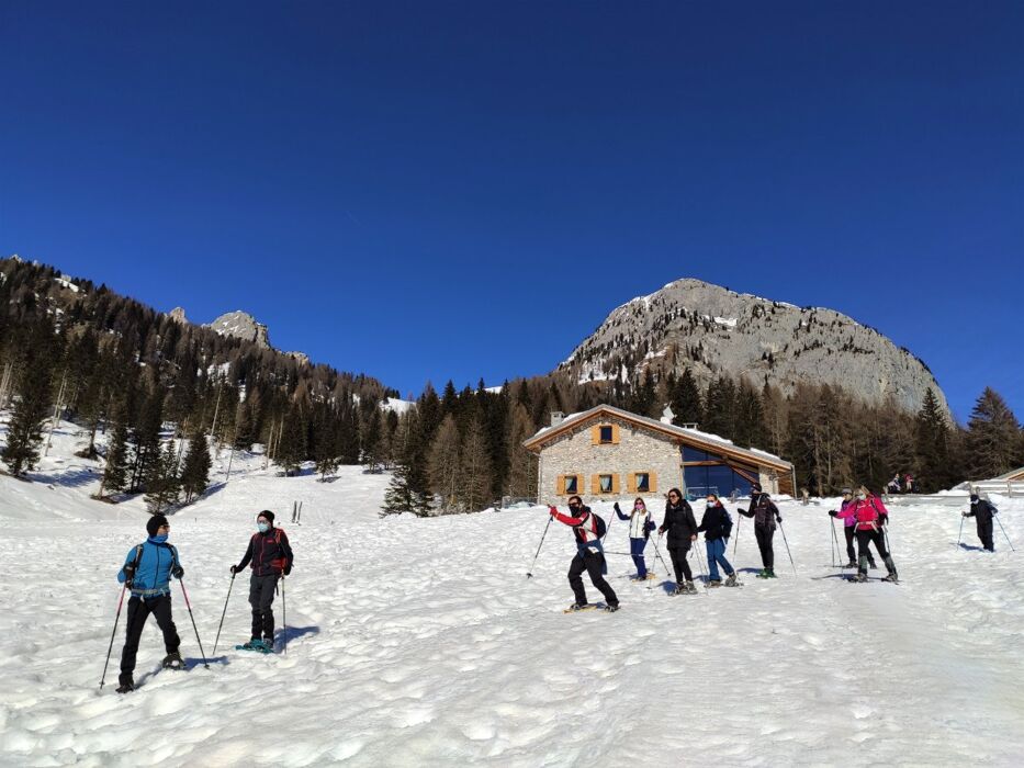 Ciaspolata a Malga Maraia nelle Dolomiti del Cadore - CIASPOLE NON INCLUSE (Principianti) Ciaspolata a Malga Maraia nelle Dolomiti del Cadore - CIASPOLE NON INCLUSE (Principianti) desktop picture