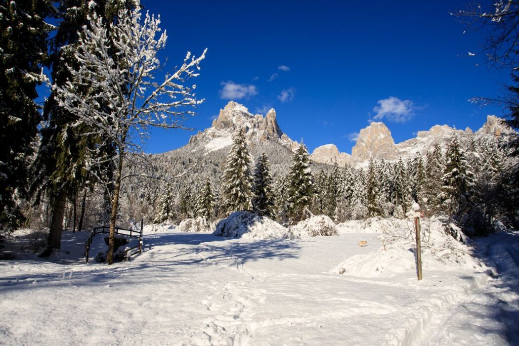 Ciaspolata in Val Canali ai piedi delle Pale di San Martino - PRINCIPIANTI Ciaspolata in Val Canali ai piedi delle Pale di San Martino - PRINCIPIANTI desktop picture
