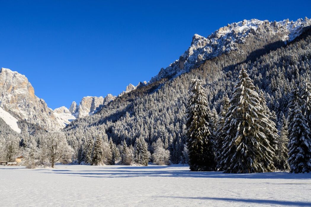 Ciaspolata in Val Canali ai piedi delle Pale di San Martino - PRINCIPIANTI Ciaspolata in Val Canali ai piedi delle Pale di San Martino - PRINCIPIANTI desktop picture