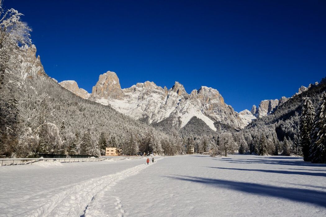 Ciaspolata in Val Canali ai piedi delle Pale di San Martino - PRINCIPIANTI Ciaspolata in Val Canali ai piedi delle Pale di San Martino - PRINCIPIANTI desktop picture