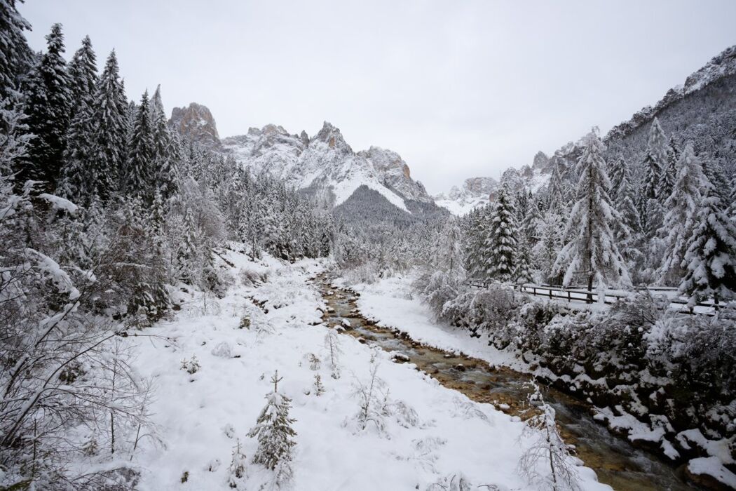 Ciaspolata in Val Canali ai piedi delle Pale di San Martino - PRINCIPIANTI Ciaspolata in Val Canali ai piedi delle Pale di San Martino - PRINCIPIANTI desktop picture