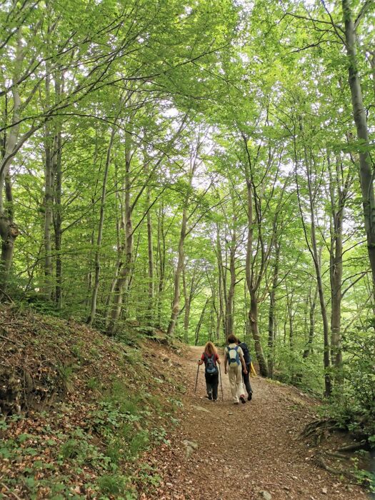 Escursione alla Sacra di San Michele: il Simbolo del Piemonte Escursione alla Sacra di San Michele: il Simbolo del Piemonte desktop picture