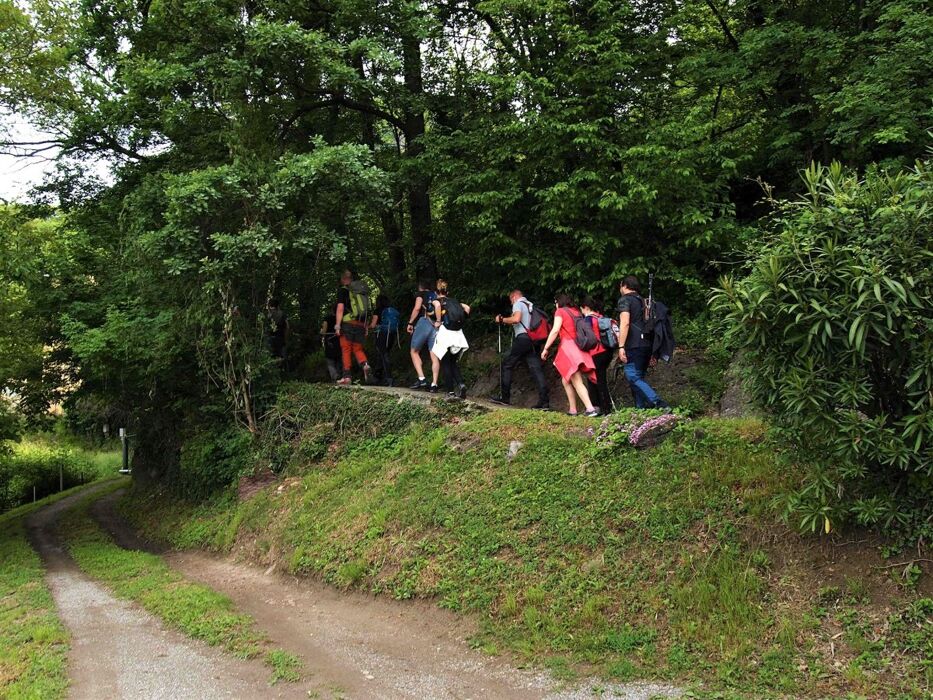 Il Sentiero del Viandante - Seconda Tappa (Variante Alta) Il Sentiero del Viandante - Seconda Tappa (Variante Alta) desktop picture