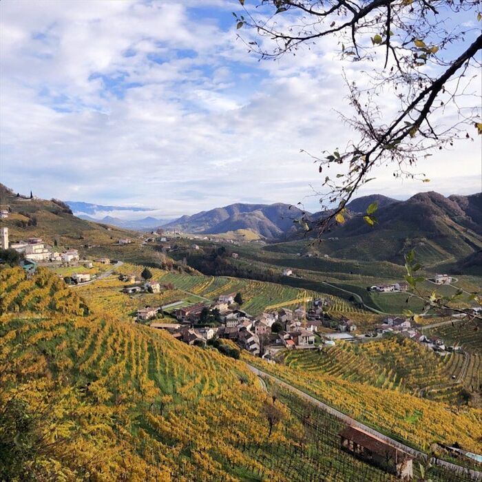 E-Bike Tour sulle Colline del Prosecco E-Bike Tour sulle Colline del Prosecco desktop picture